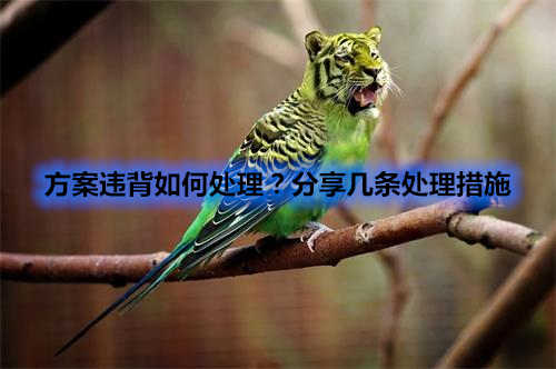 方案違背如何處理？分享幾條處理措施(圖1)