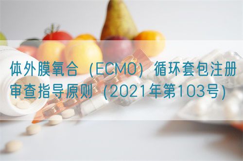 體外膜氧合(ECMO)循環(huán)套包注冊審查指導(dǎo)原則(2021年第103號)(圖1) 體外膜氧合(ECMO)循環(huán)套包注冊審查指導(dǎo)原則(2021年第103號)(圖1)