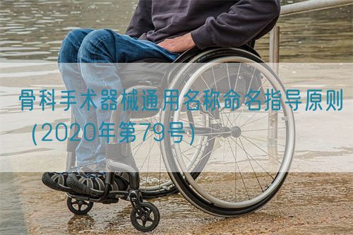 骨科手術(shù)器械通用名稱命名指導(dǎo)原則(2020年第79號)(圖1) 骨科手術(shù)器械通用名稱命名指導(dǎo)原則(2020年第79號)(圖1)