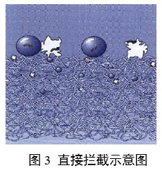 呼吸系統(tǒng)過濾器注冊審查指導原則(2023年第22號)(圖2) 呼吸系統(tǒng)過濾器注冊審查指導原則(2023年第22號)(圖2)