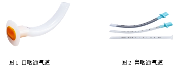 口咽/鼻咽通氣道注冊(cè)審查指導(dǎo)原則(2023年第22號(hào))(圖1) 口咽/鼻咽通氣道注冊(cè)審查指導(dǎo)原則(2023年第22號(hào))(圖1)