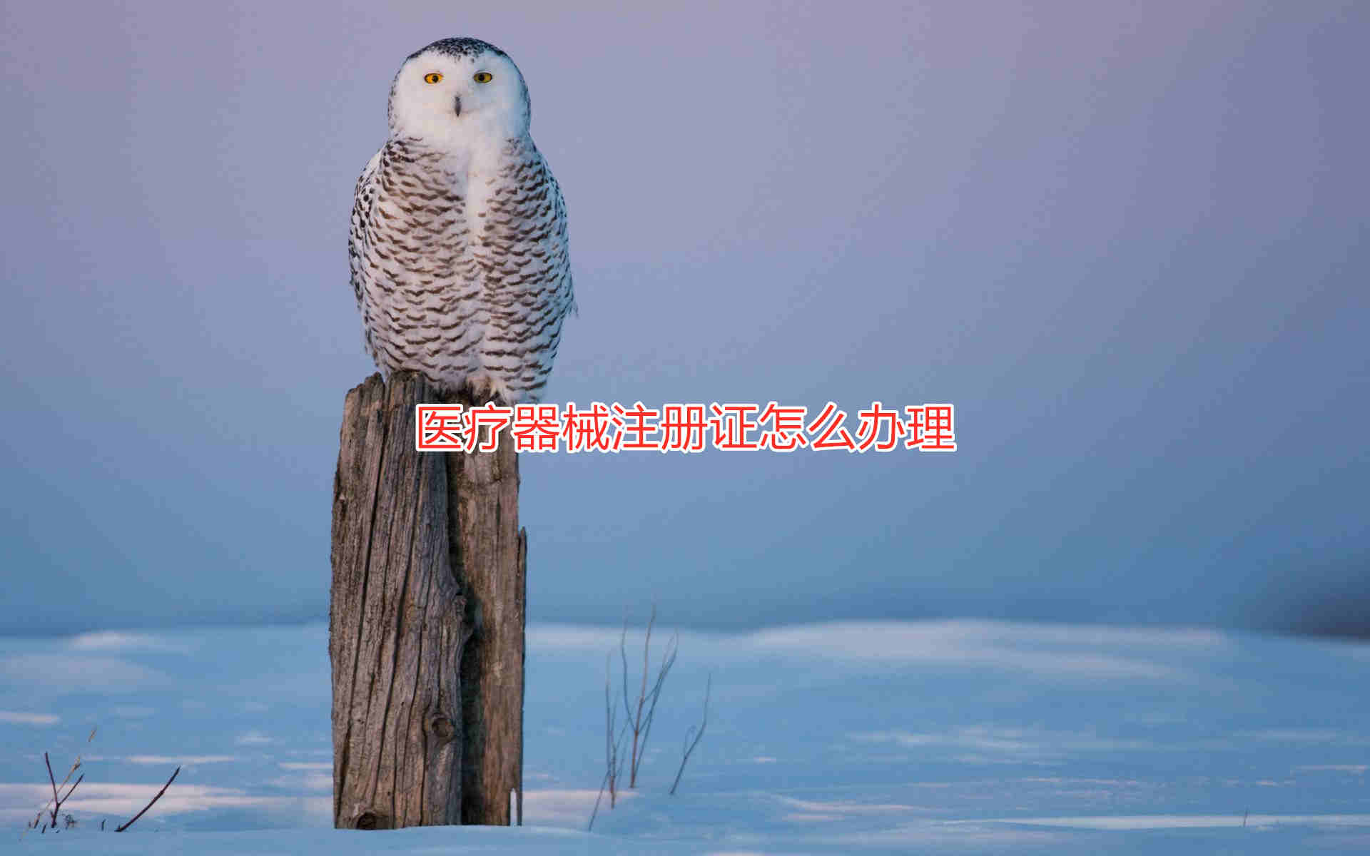 三類(lèi)醫(yī)療器械注冊(cè)證辦理流程和周期說(shuō)明