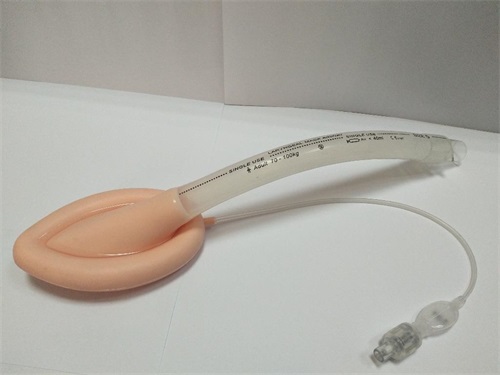 一次性使用醫(yī)用喉罩注冊(cè)技術(shù)審查指導(dǎo)原則(2018年修訂)(2018年第107號(hào))(圖1) 一次性使用醫(yī)用喉罩注冊(cè)技術(shù)審查指導(dǎo)原則(2018年修訂)(2018年第107號(hào))(圖1)