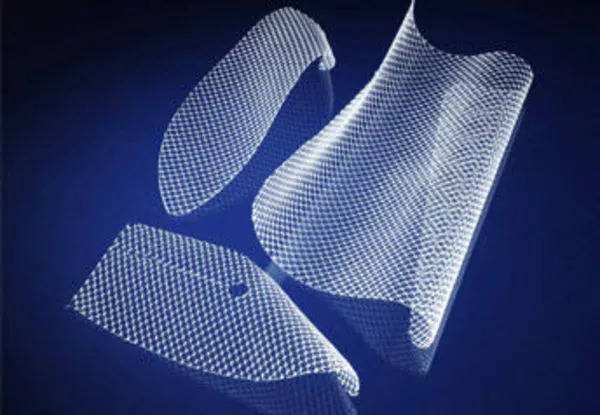 疝修補補片臨床試驗指導原則(2020年第48號)(圖1) 疝修補補片臨床試驗指導原則(2020年第48號)(圖1)