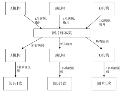 PD-L1檢測(cè)試劑臨床試驗(yàn)—結(jié)果重現(xiàn)性研究注冊(cè)審查指導(dǎo)原則(2022年第27號(hào))(圖5) PD-L1檢測(cè)試劑臨床試驗(yàn)—結(jié)果重現(xiàn)性研究注冊(cè)審查指導(dǎo)原則(2022年第27號(hào))(圖5)